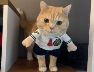 76ers vs orlando magic match player stats