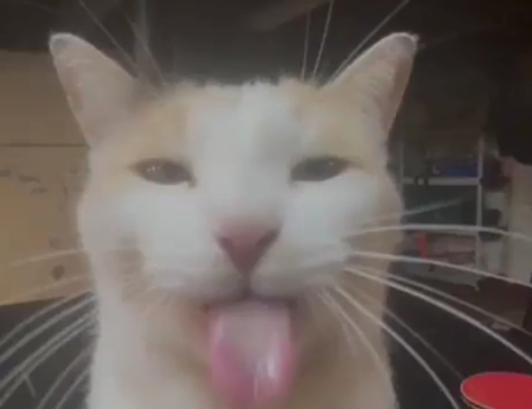 half half pair dp matching cute cartoon couple profile picture