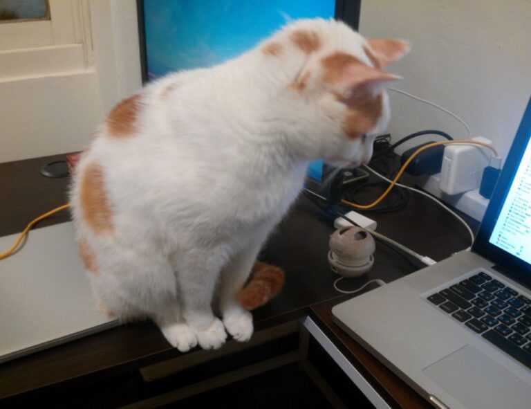 kerri gribble only fans leak