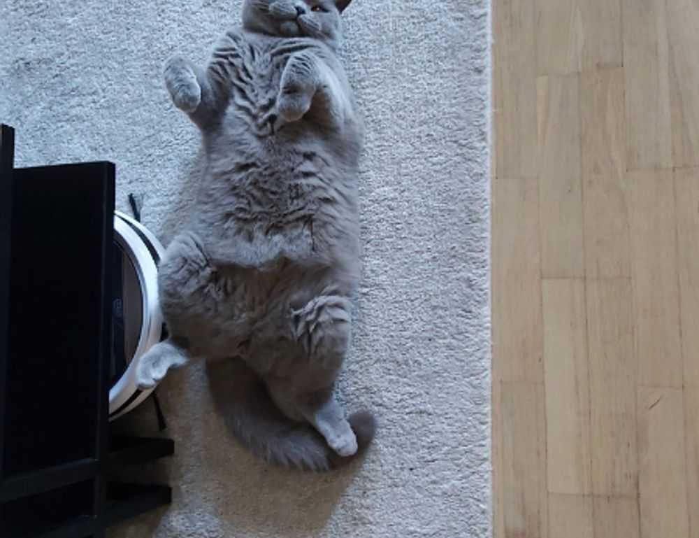 miss marie elisabeth onlyfans