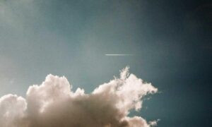 playstation princess of leaks