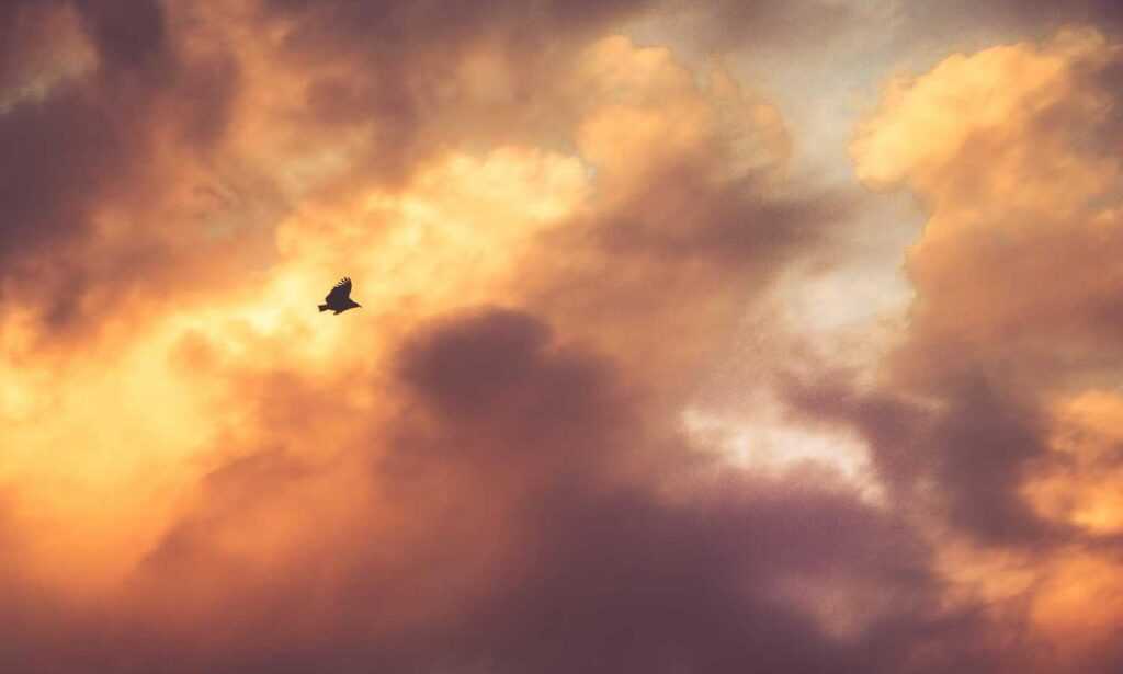 sophie stonehouse onlyfans