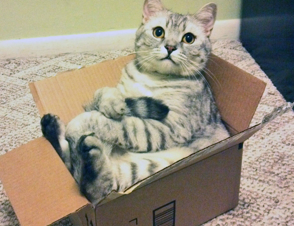 tatuaje en el medio de los senos