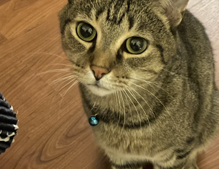 whatsapp frases tristes para llorar