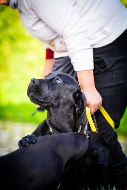 c8eef491 60cf 4c0c a231 077775237bd6