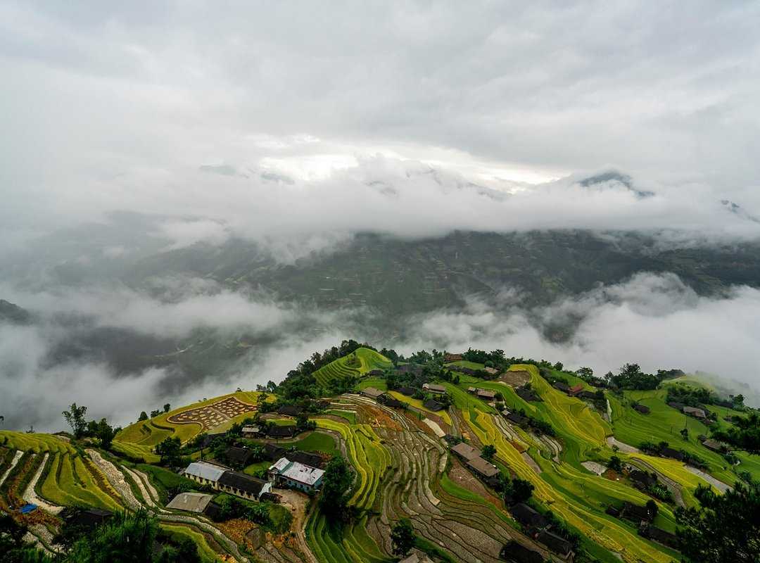 Infoguide for Birds Llblogpet