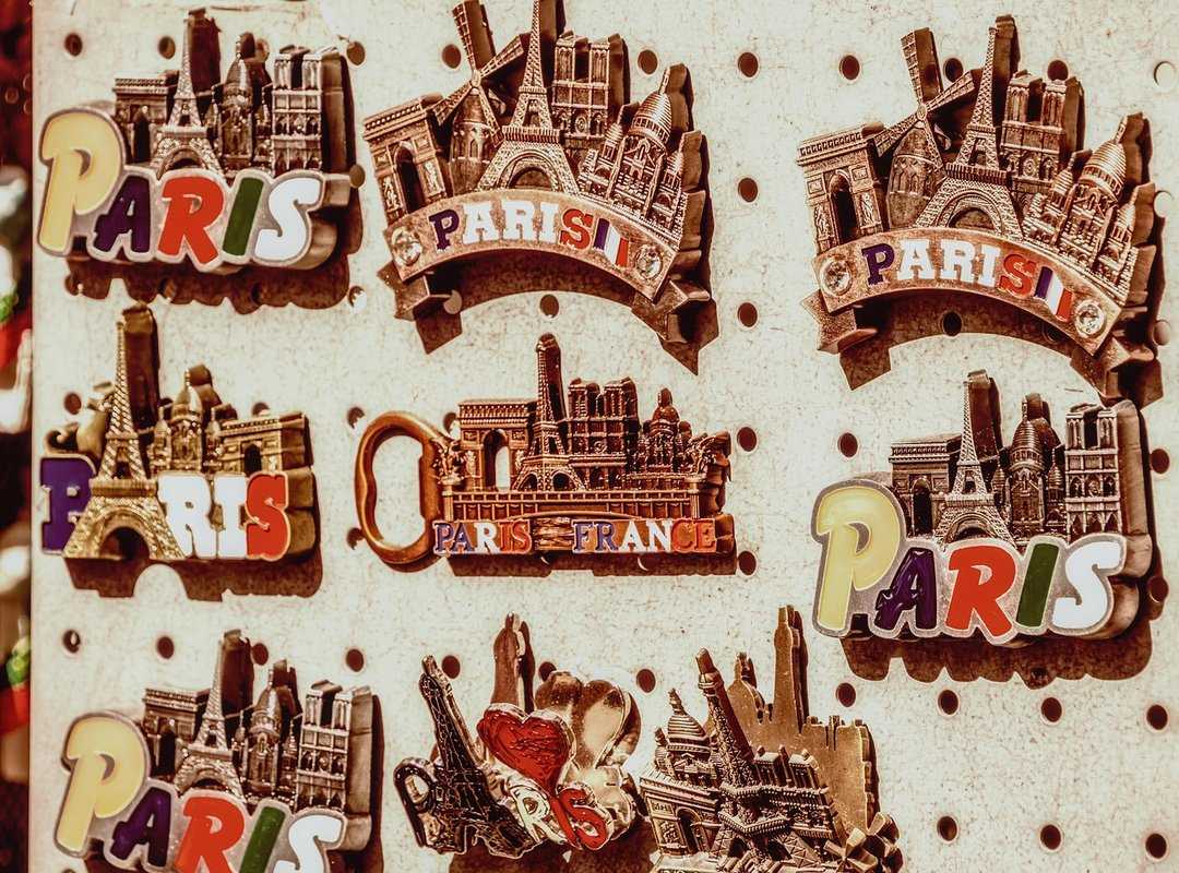 Infoguide for Cats Llblogpet