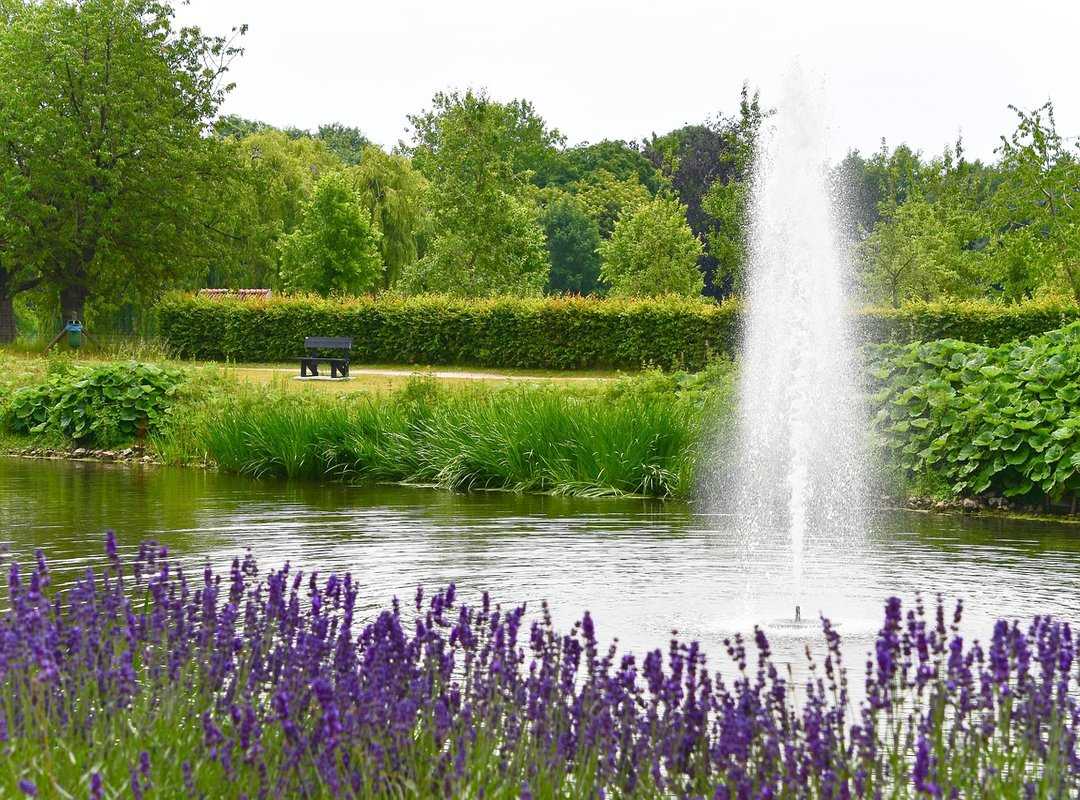 Llblogpet Advice for Fish