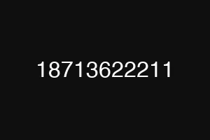 18713622211