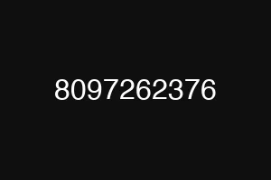 8097262376