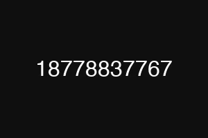 18778837767