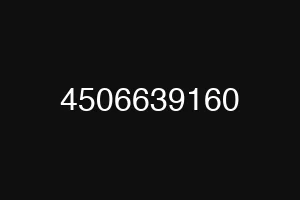 4506639160