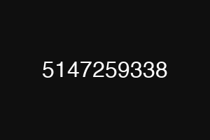 5147259338