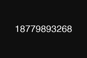18779893268
