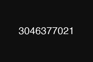 3046377021