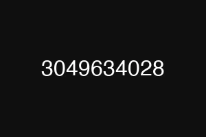 3049634028