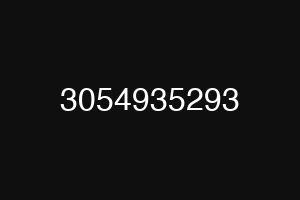 3054935293