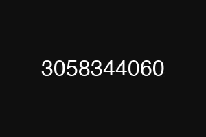 3058344060