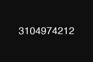 3104974212