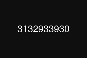 3132933930