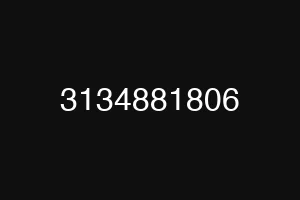 3134881806