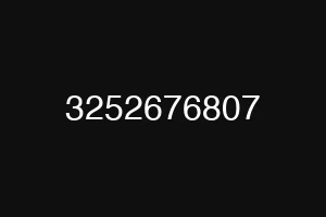 3252676807