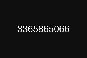 3365865066