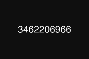 3462206966
