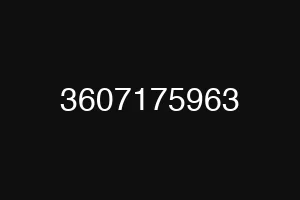 3607175963