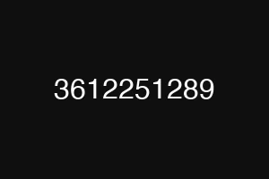 3612251289