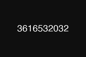 3616532032