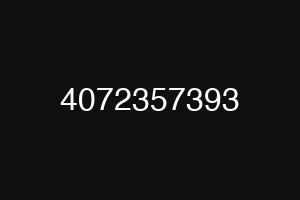 4072357393