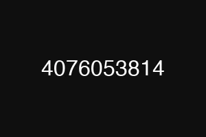 4076053814