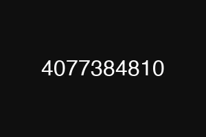 4077384810