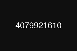 4079921610