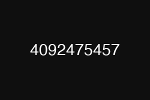 4092475457