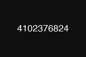 4102376824