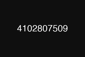 4102807509