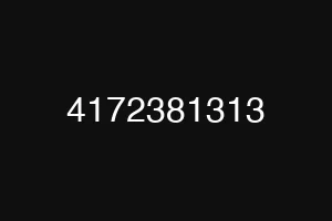 4172381313