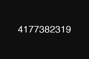 4177382319