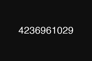 4236961029