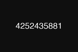 4252435881