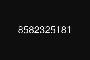 8582325181
