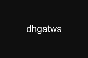dhgatws