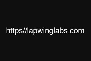 https//lapwinglabs.com