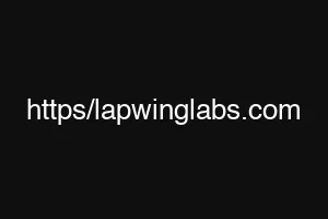 https/lapwinglabs.com