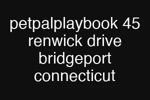 petpalplaybook 45 renwick drive bridgeport connecticut
